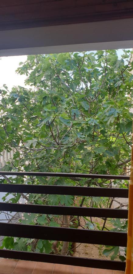 Apartment Tonci ราบ ภายนอก รูปภาพ